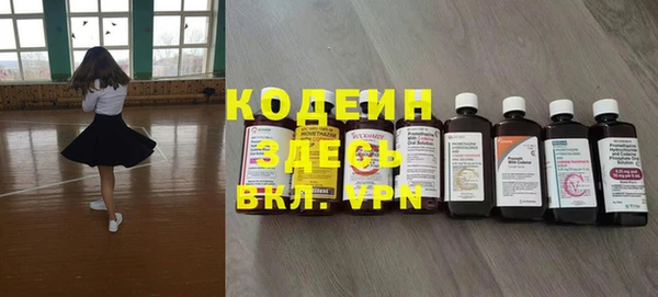 гашик Щигры