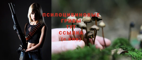 дмт Абаза