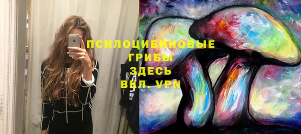 ALPHA PVP Алзамай