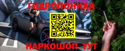 хмурый Бердск
