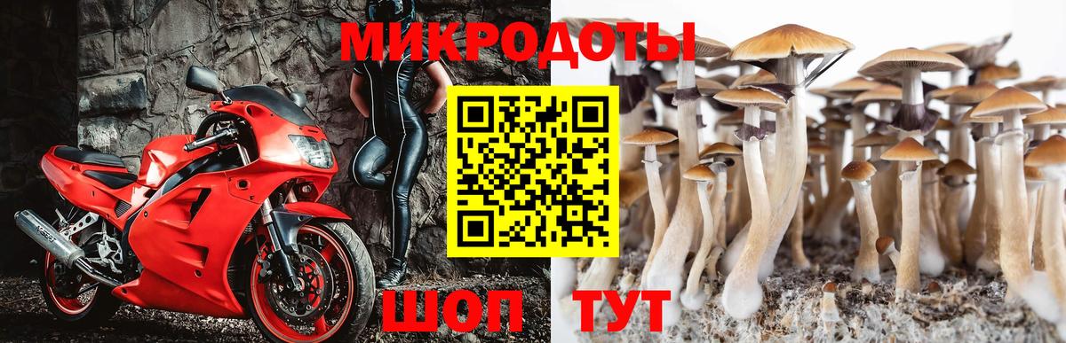 Псилоцибиновые грибы GOLDEN TEACHER Батайск