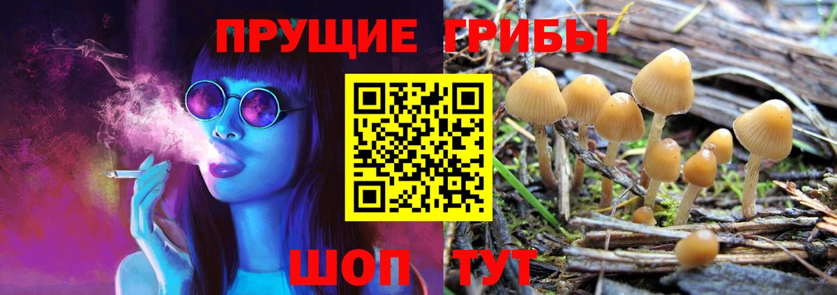 Галлюциногенные грибы Psilocybine cubensis  Вход с VPN  Батайск 